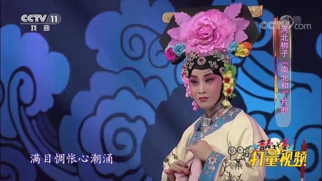 张莉英演唱河北梆子《南北和》选段,唱的人泫然泪下