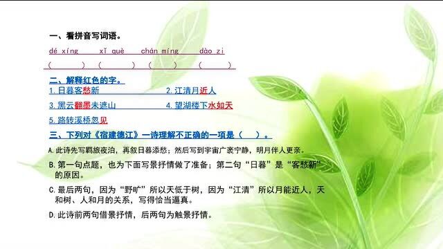 六年级上册人教版语文同步习题精讲:《宿建德江》