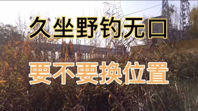 久坐野钓无口要不要换位置?给你六条建议,野钓不在迷茫