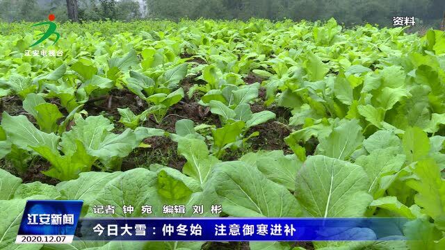 今日大雪:仲冬始 注意御寒进补