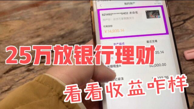 放250000在银行理财,收益还不错,看看到底赚了多少钱