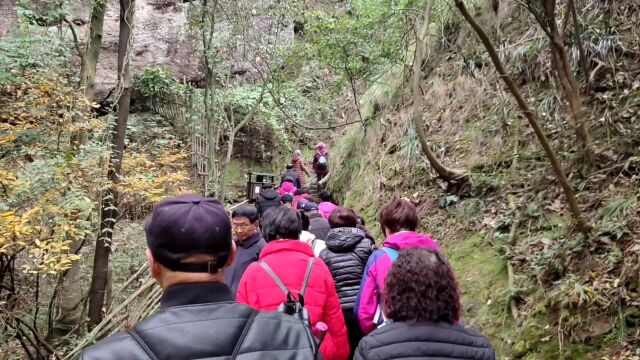 自创旅游影视片~三百多人登仙人岩,到山顶时人数不到二十,山太陡峭了!