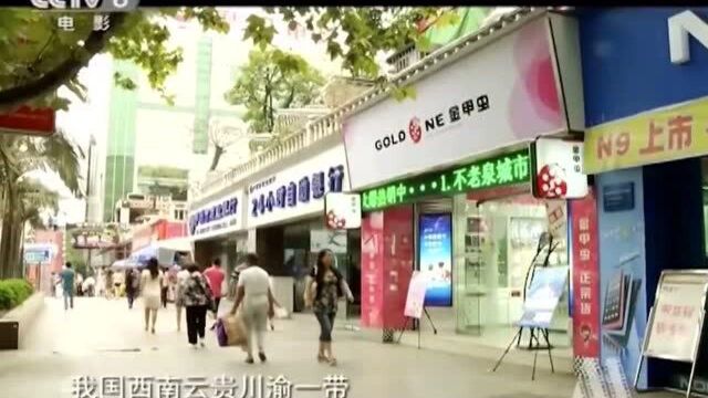 中央电视台报道金甲虫