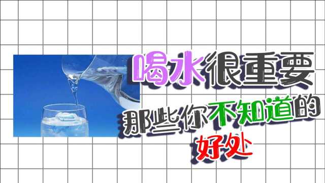 为什么要多喝水?这4个好处是关键,学会正确喝水