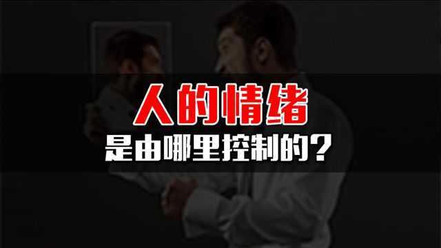 人的情绪是由哪些控制的?