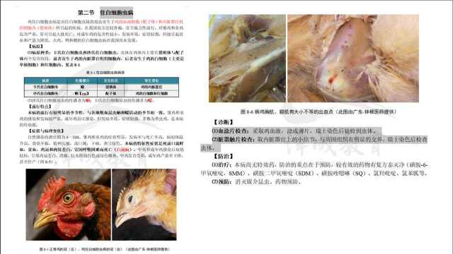 执兽新型考题分析讲解5(泽成教育)