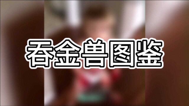 人类吞金兽图鉴,生二胎的必要性体现出来了