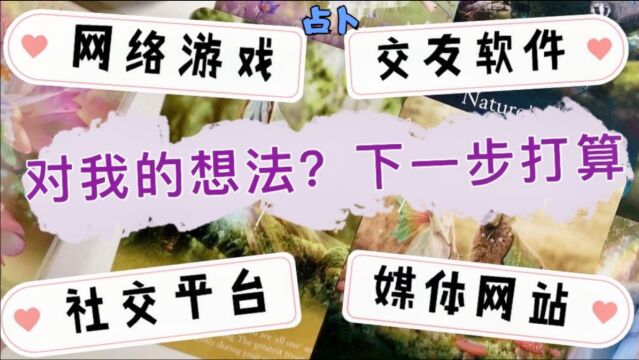 占卜:网络交友、社交平台、游戏认识的他她是怎么想我的?下一步打算?