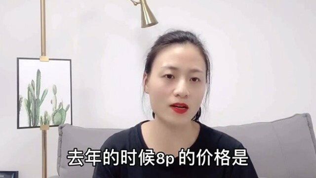 4个理由告诉你,为什么8P依然值得继续使用