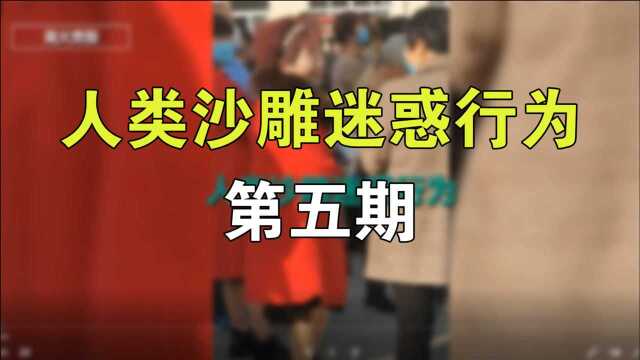 人类沙雕迷惑行为:学校里有校花有班花,接学生里有奶花