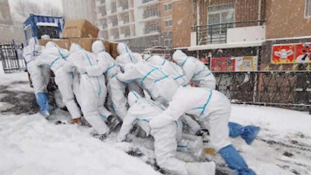 风雪中,大连这组“移动的雕塑”让人泪目