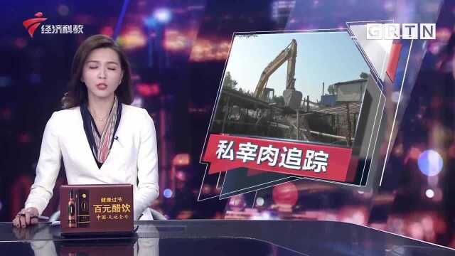 记者蹲点暗访东莞谢岗私宰点活猪来源点曝光以养鸡场作掩护