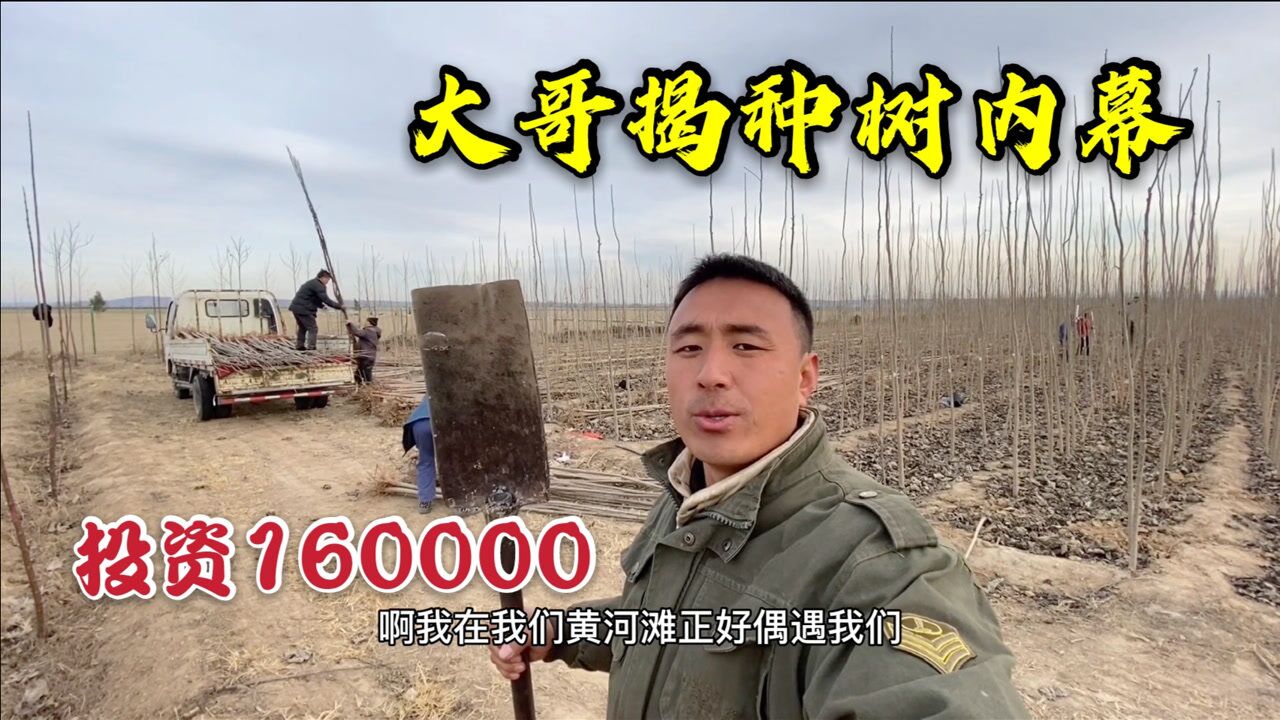 大哥投资16万种树苗,120亩地种了20万株,一年到头赚4万白干了!