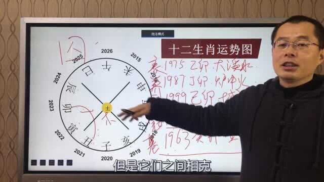 生肖兔2021全年运势详解,一代人一个样,你不可不知!