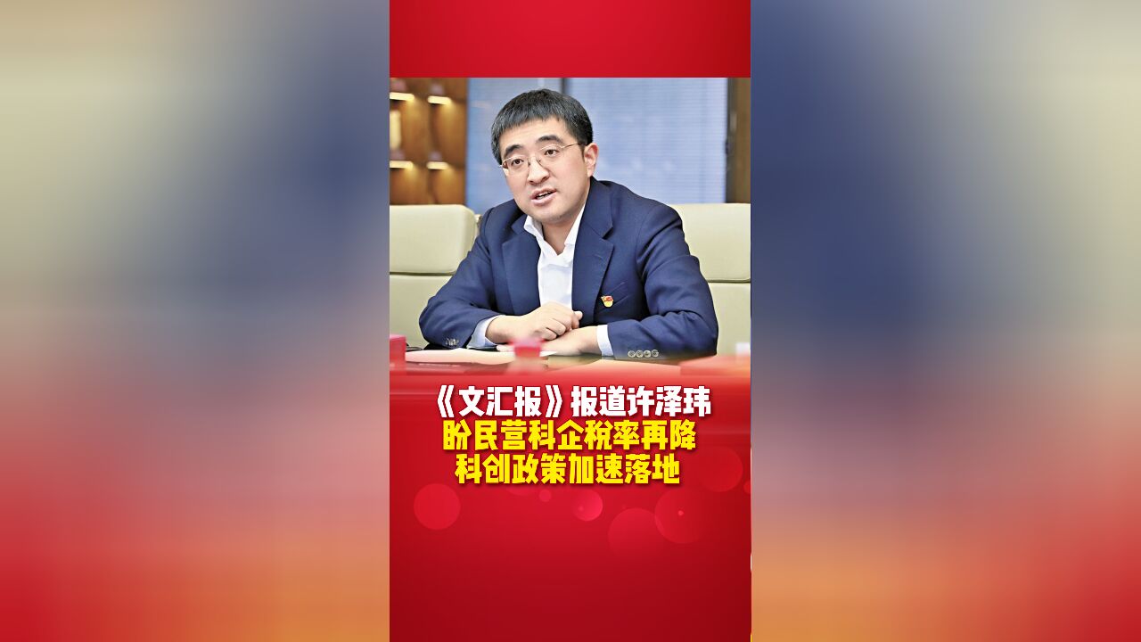 《文汇报》报道许泽玮:盼民营科企税率再降 科创政策加速落地 #91科技集团 #许泽玮说 #民营企业