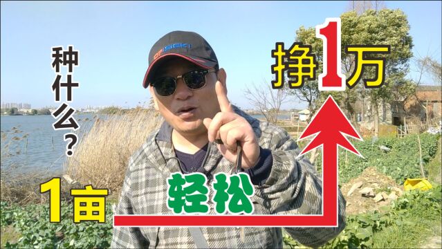 1亩地收入1万元很难吗?农民夫妻说很轻松,其实你也能做到!