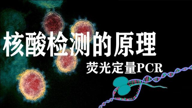 3分钟了解核酸检测的原理——什么是荧光定量PCR