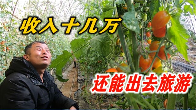 同样是大投资建大棚,丹东这里为啥不种九九草莓?农民这样回答