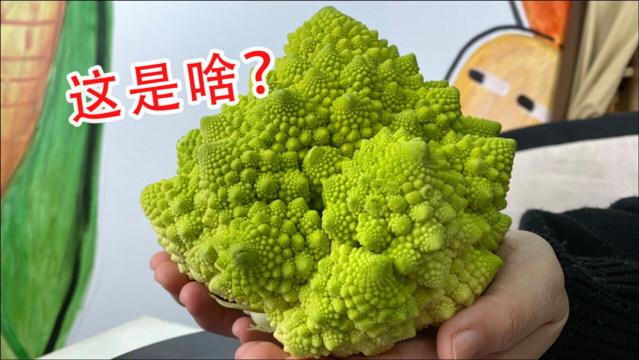 奇食记!这是啥?长得这么魔性,真的能吃吗?