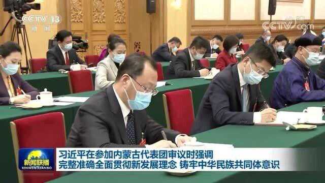 习近平在参加内蒙古代表团审议时强调 完整准确全面贯彻新发展理念 铸牢中华民族共同体意识