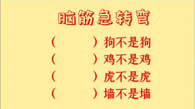 脑筋急转弯,什么狗不是狗,什么鸡不是鸡,什么虎不是虎呢?