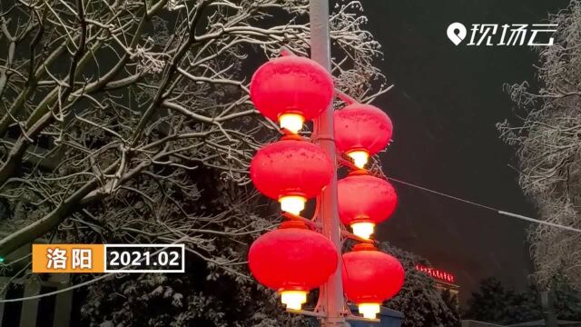 洛阳:春雪满空来 触处似花开