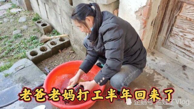 56岁的爸妈农闲之时,打工半年挣了1.5万,到底种地强还是打工强!