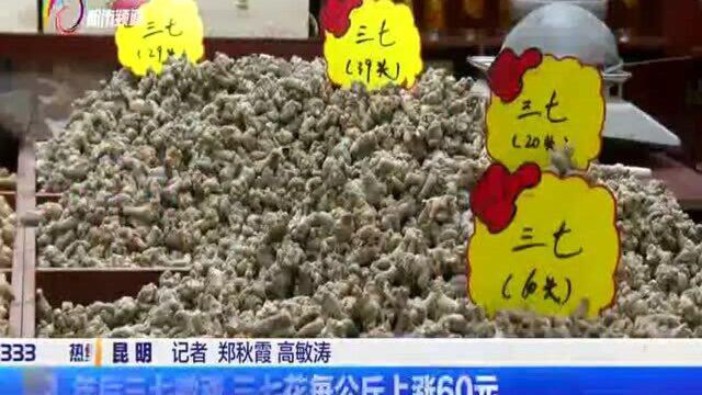 年后三七微涨,三七花每公斤上涨60元