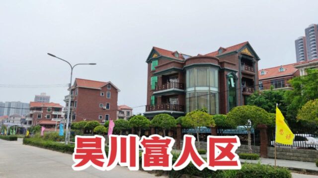 广东吴川身家过亿老板超500位,实拍他们住的别墅豪宅,太奢华了