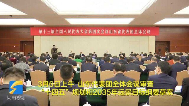 全国人大代表李湘平:加快推进工业化应用 引领炼化行业高质量发展