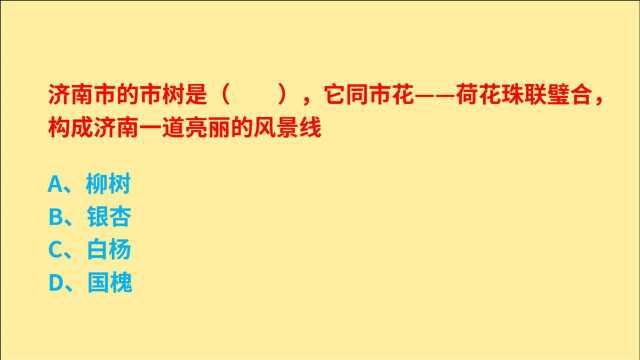 公务员考试,济南市的市树是什么,它同市花荷花珠联璧合