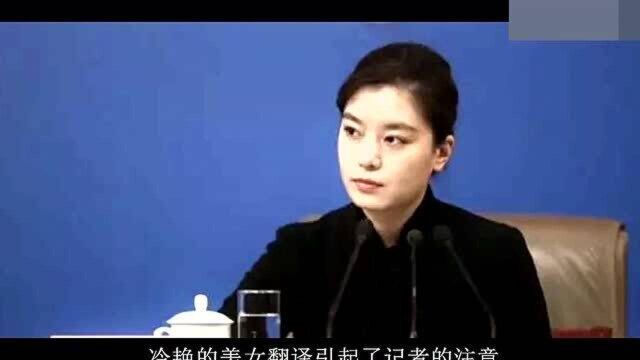 中国最美“冷艳翻译”外交官一夜爆红网络 张京的励志人生