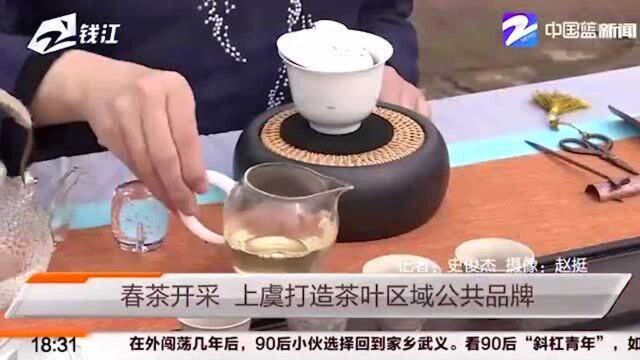 春茶开采 上虞打造茶叶区域公共品牌 专家、茶企代表齐聚一堂