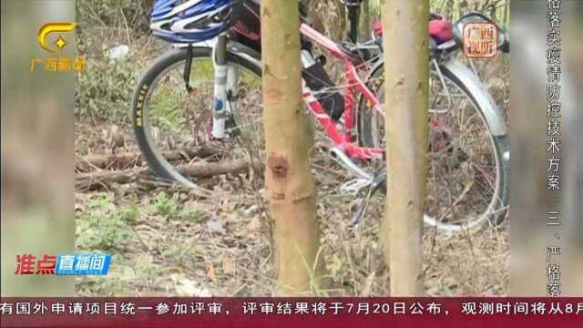 柳州:七旬骑友登山失联,百人上山搜救!