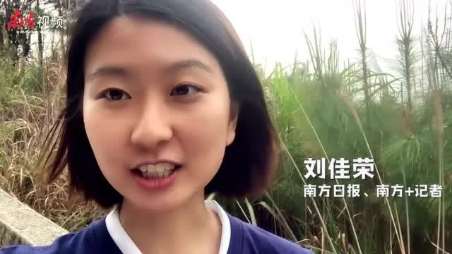 它是地球同纬度唯一“绿洲”,就在广东这个地方