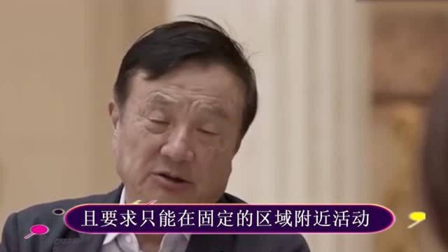 孟晚舟再次受挫?被困了860天背后,蒋大为国内挣钱国外交税!