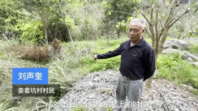 青山为证——闽西百姓与红军无名烈士墓的故事