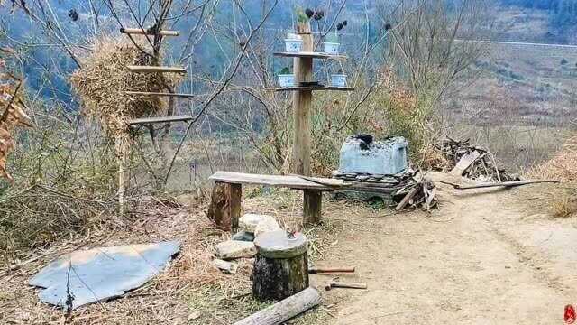 见过了繁花似锦的都市,依然想回到山野过悠然自得生活,逍遥自在