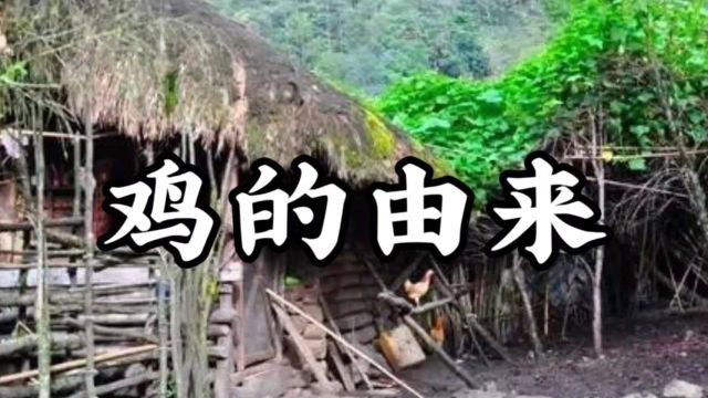 民间故事《鸡的由来》上集