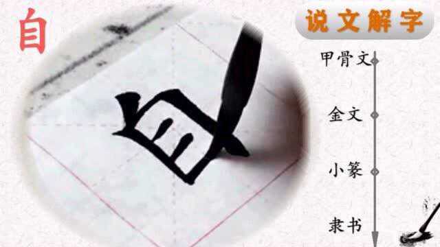 写好汉字一笔一画,读懂汉字前世今生——田楷欧体“心经”自字书法,“自”字说解(10)