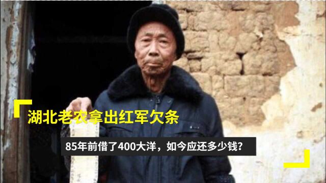 湖北老农拿出红军欠条,85年前借了400大洋,如今应还多少钱?