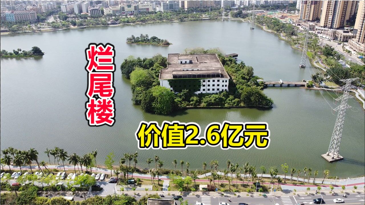 海南海口市区的湖心岛烂尾楼,政府出价1亿元收购,却被业主拒绝