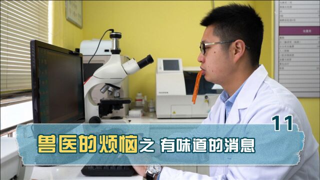 每天回答100个咨询,但是这些有味道的图片,求大家少发一点