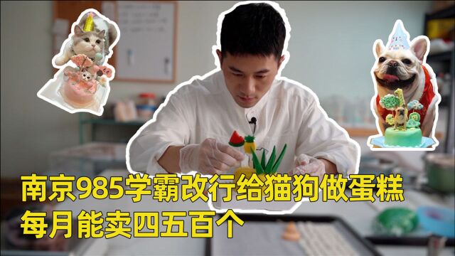 南京985名校学霸改行当宠物营养师,给猫狗做蛋糕,月销四五百个