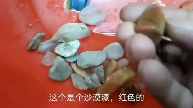 第一次带粉丝捡石头,就捡到宝石光沙漠漆了