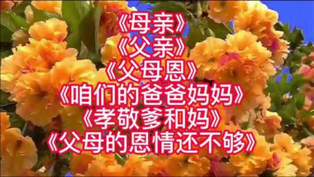 歌曲《母亲》 《父亲》 《父母恩》 《咱们的爸爸妈妈》 《孝敬爹和妈》 《父母的恩情还不够》