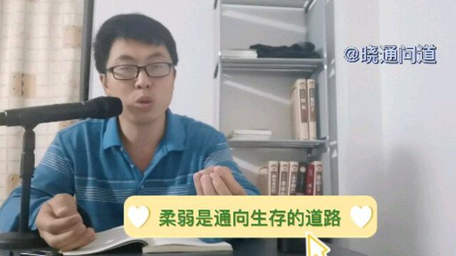 《道德经》中以柔克刚的根据是什么?为什么柔弱可以胜刚强?