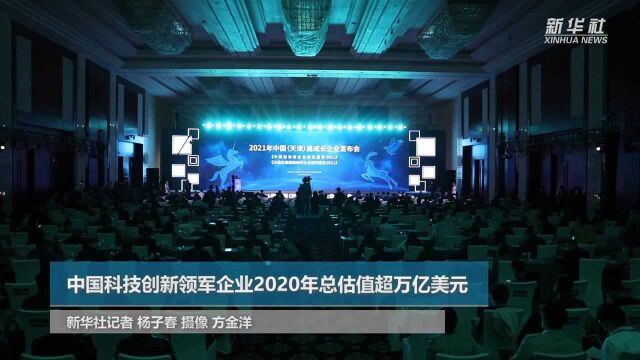 中国科技创新领军企业2020年总估值超万亿美元