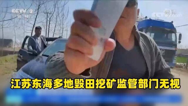 江苏东海多地毁田私挖滥采石英石 监管部门无视