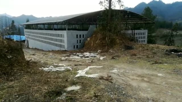 花10多万建的养猪场,不仅环保无污染,还可以用猪粪照明做饭